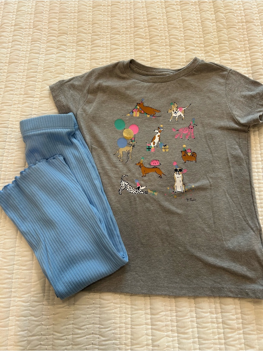 Girls Crewcuts & Jumping Beans Dog Birthday Outfit Size 3T